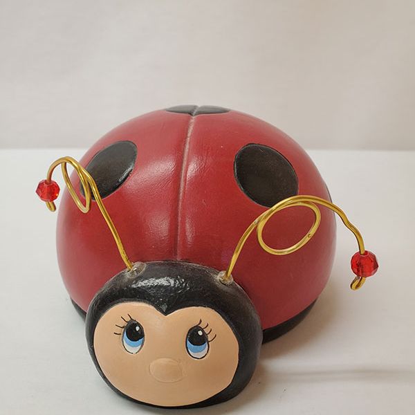 ladybug2-123-1-6464245d4b-8aad-92ba-828f-7851b7620d006C0AF034-DA61-BB6C-0178-DEF239EF9669.jpg